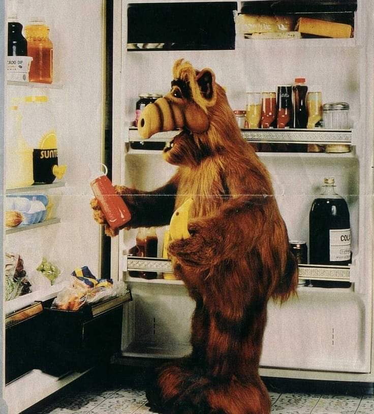 sunny_joni's tweet photo. Me, at 3am, wondering when my hot girl summer body is showing up. #insomnia #snackident https://t.co/DeMOqMCJxV