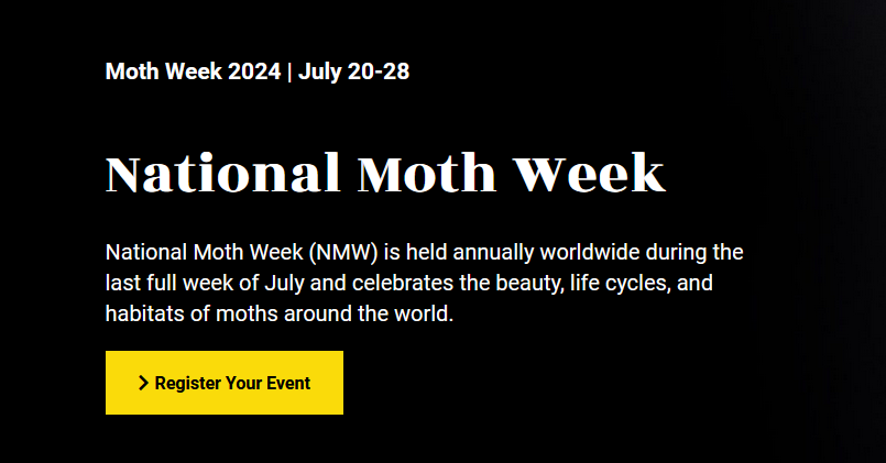 Balenar | Mothtuber tweet media