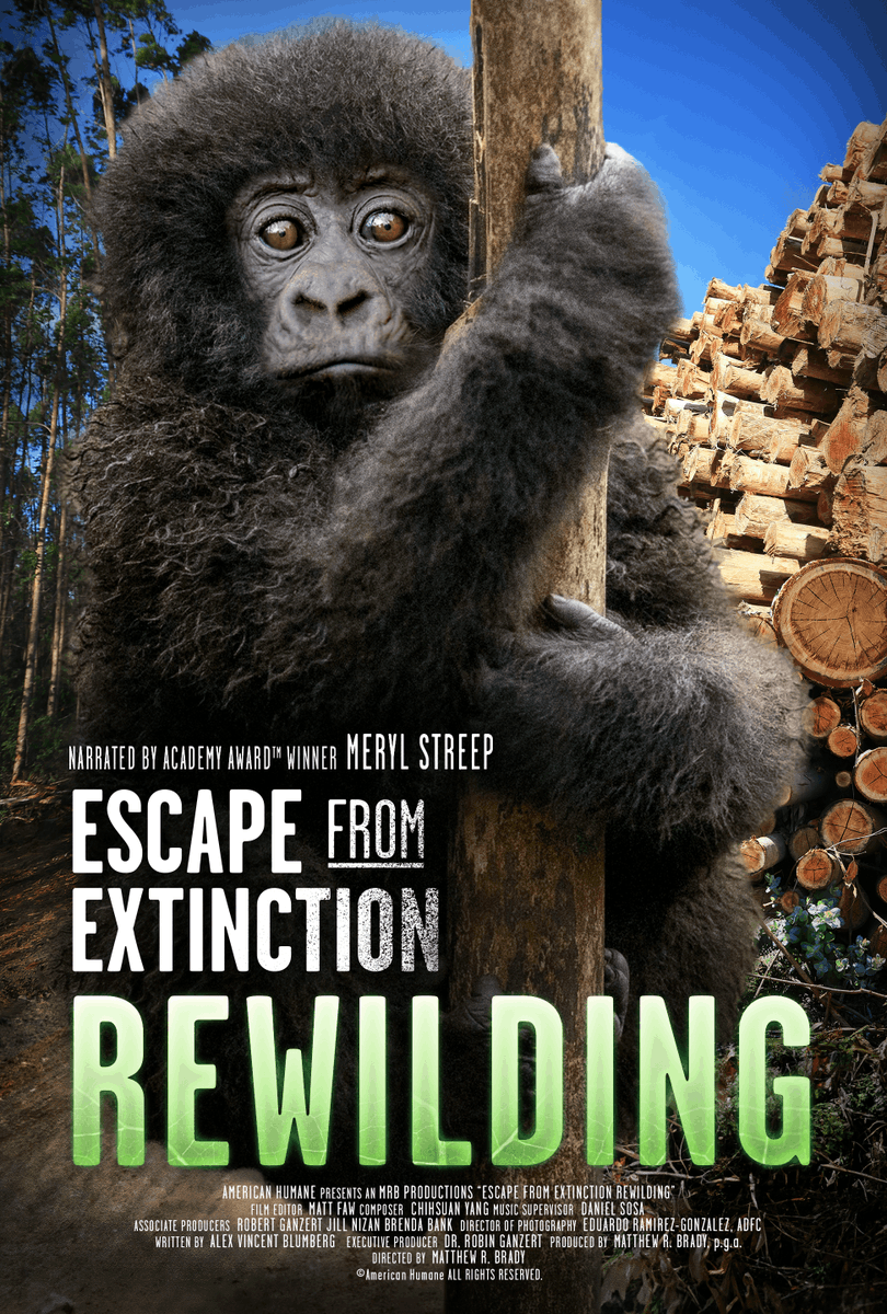 Escape From Extinction tweet media