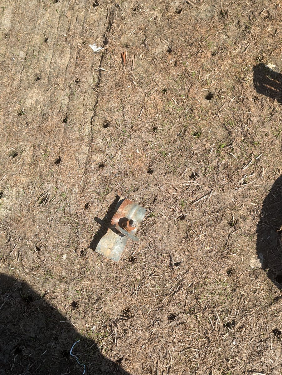 Adjoa Osei tweet media