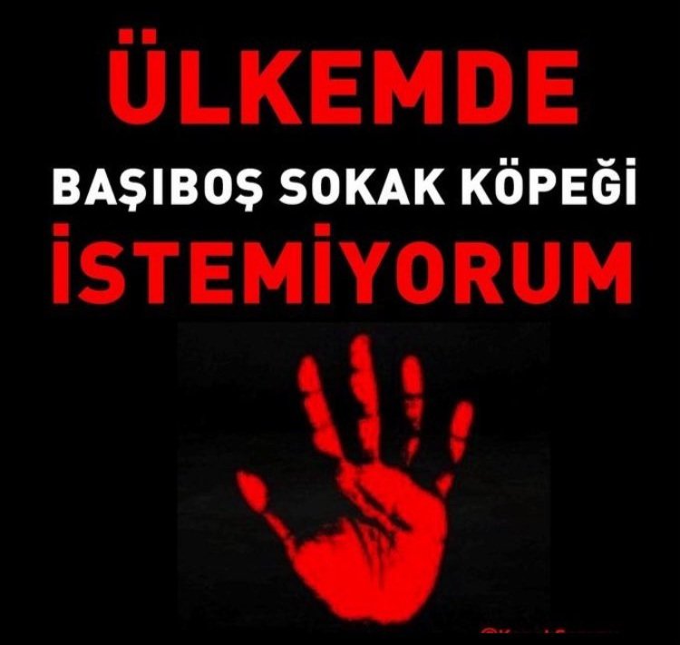 @hakan202358