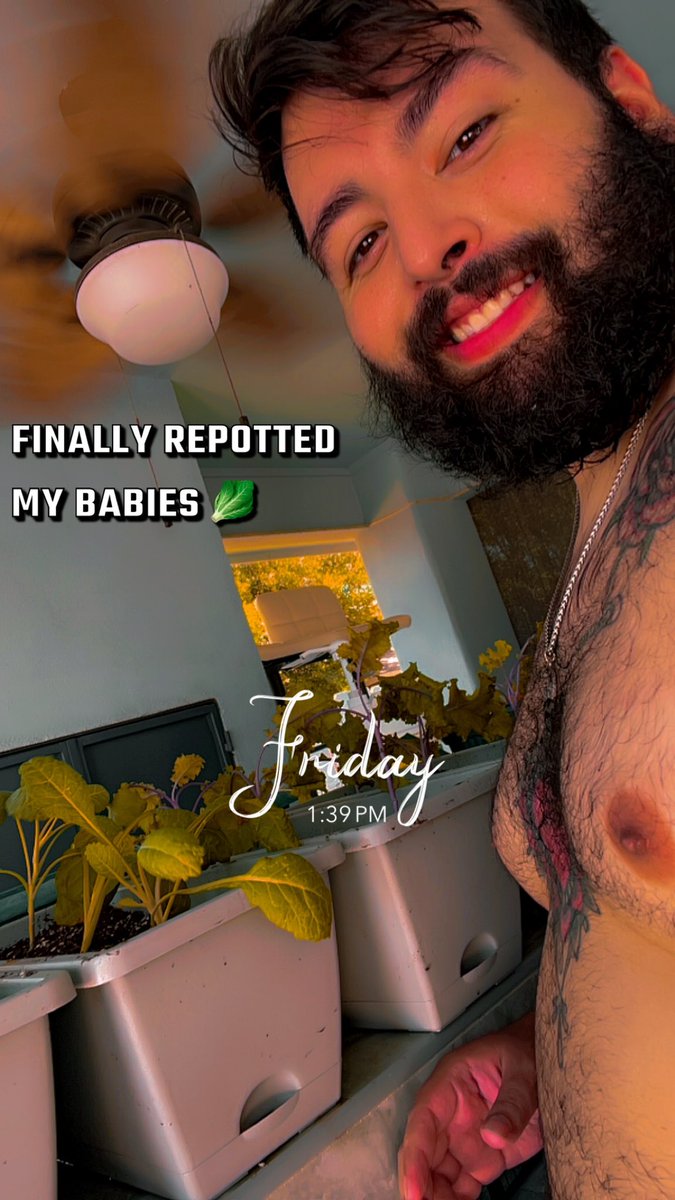 Brandon_Devin's tweet photo. I can’t wait for these to start getting bigger, already getting ready for the next set of plants to bring out! 🌸 https://t.co/kvsCcTWFX6