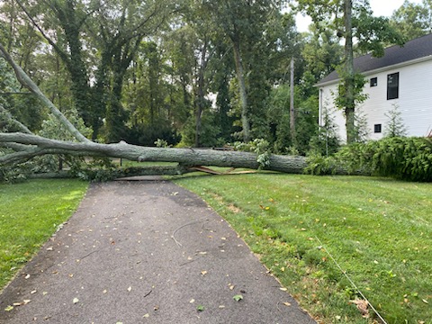 RokstadPower's tweet photo. Another storm response post from Rokstad East from another storm call. A tree came down on the primary and secondary wire and knocked out 4 spans. We quickly responded for Baltimore Gas and Electric and got things back on track. #stormresponse #keepingthelightson https://t.co/46616gzIYv