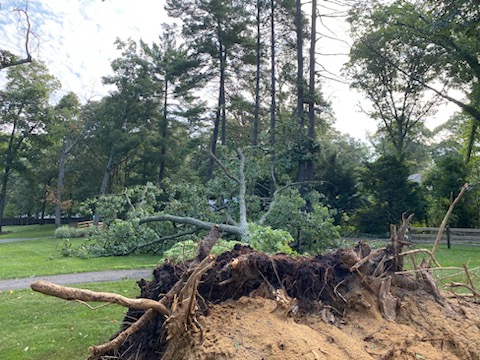 RokstadPower's tweet photo. Another storm response post from Rokstad East from another storm call. A tree came down on the primary and secondary wire and knocked out 4 spans. We quickly responded for Baltimore Gas and Electric and got things back on track. #stormresponse #keepingthelightson https://t.co/46616gzIYv
