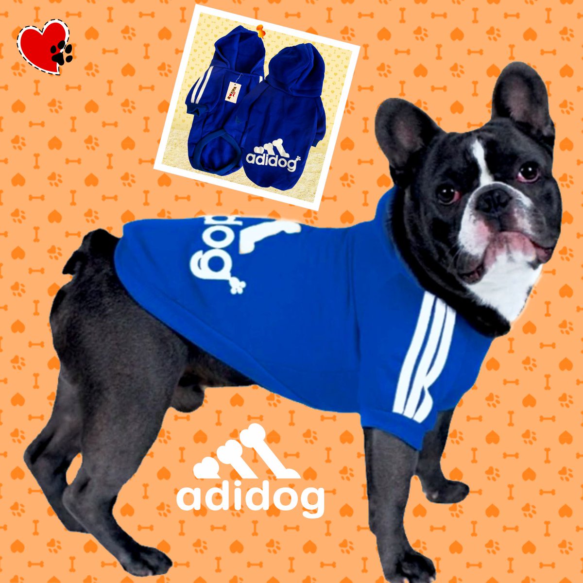 roupapetbr's tweet image. Neste inverno ❄️, deixe seu pet 🐶🐱 🐷 🐰protegido e super estiloso com casaco de moletom #Adidog com capuz, confeccionado em moletom aflanelado, perfeito para dias de muito frio.

Temos diversas cores e do PP ao GG.
🛒 Visite nossa loja roupapet.com.br/soft🐾

#roupapet