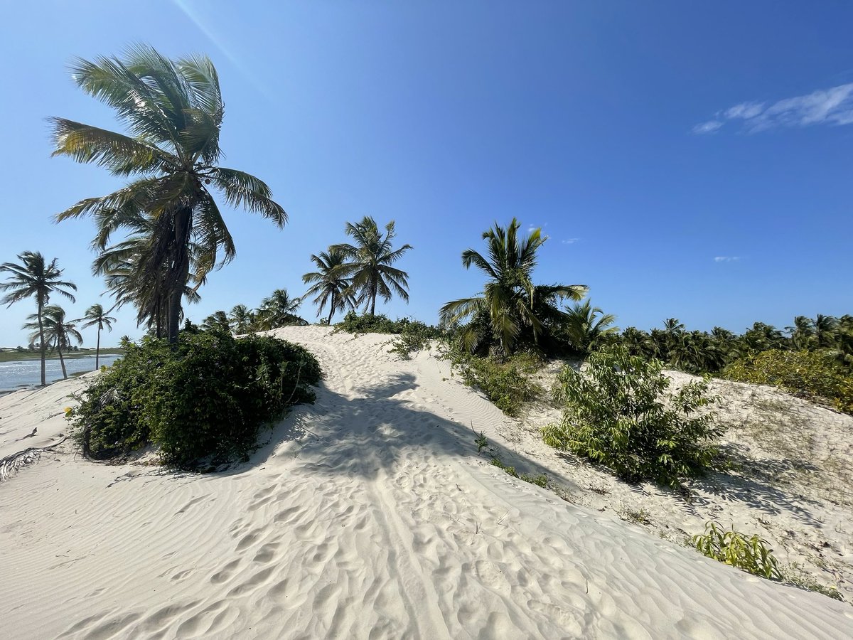 Damien Lahaye tweet media