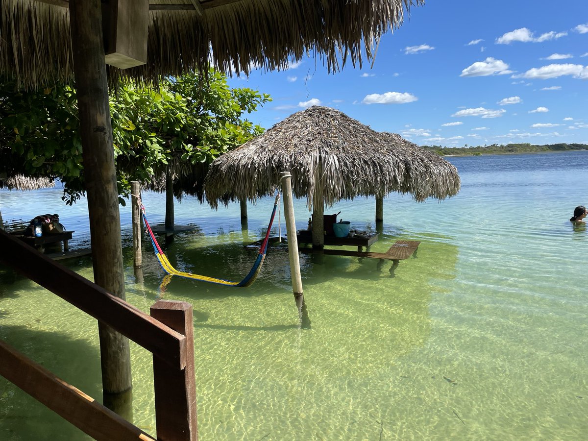 Damien Lahaye tweet media