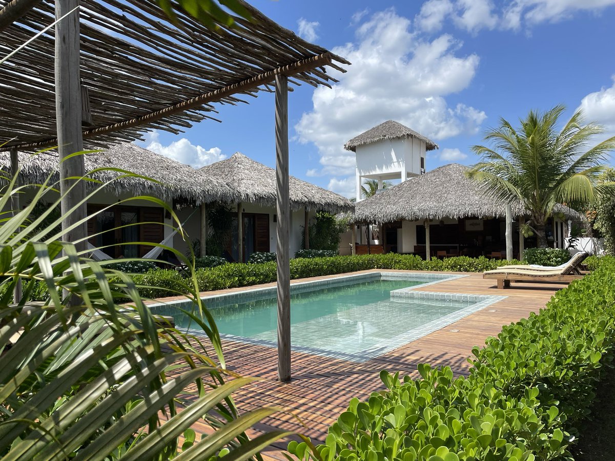 Damien Lahaye tweet media