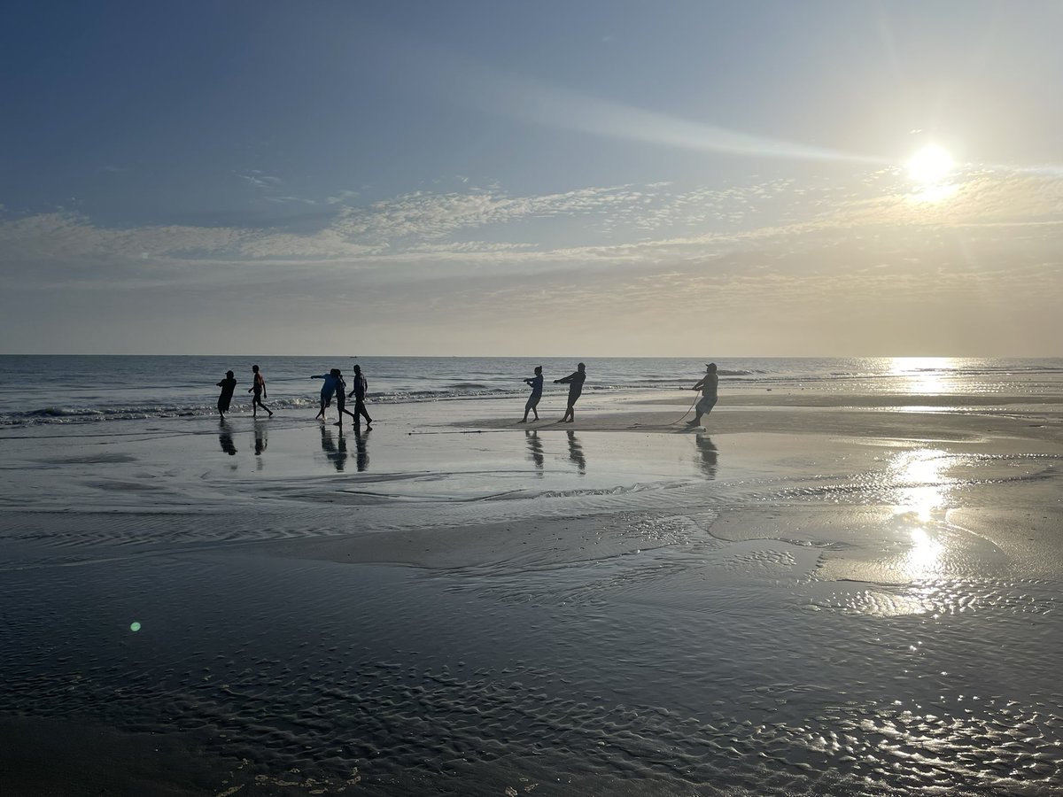 Damien Lahaye tweet media