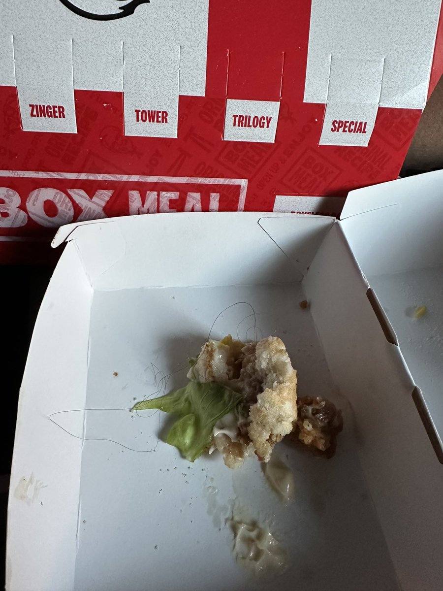 Lordsuleman's tweet photo. @kfc just went to you hanworth branch of kfc and found a hair in my burger, it’s not exceptable, what measures are in place to stop this. Whatever they are it doesn’t work. https://t.co/WNbv9vqhff