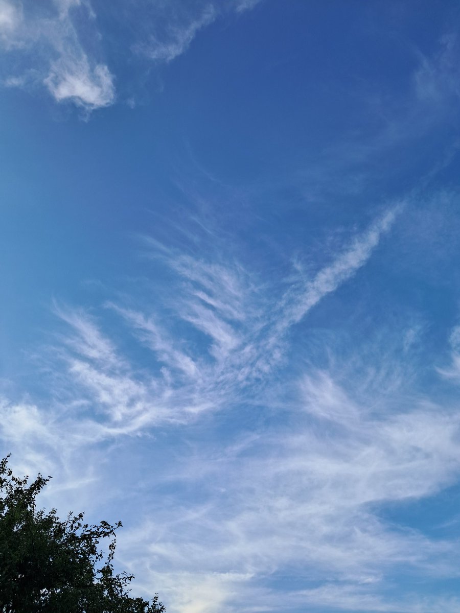 mark stuart tweet media