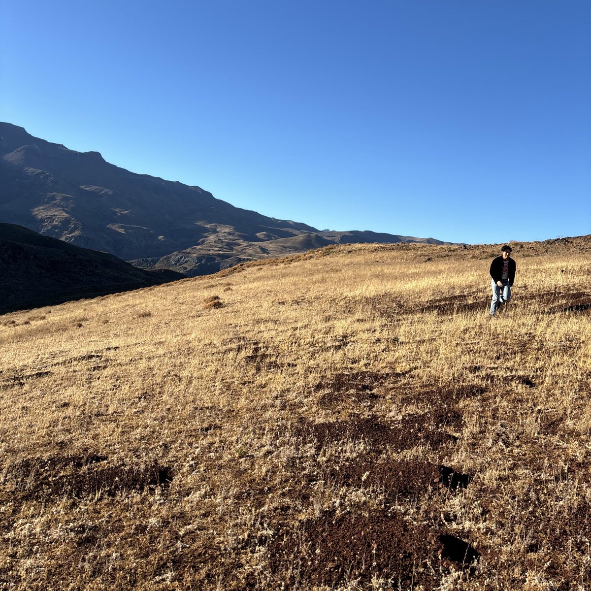 SO MUCH TO BE GRATEFUL FOR! Work It Out is finally here 👀🙂‍↕️🎶