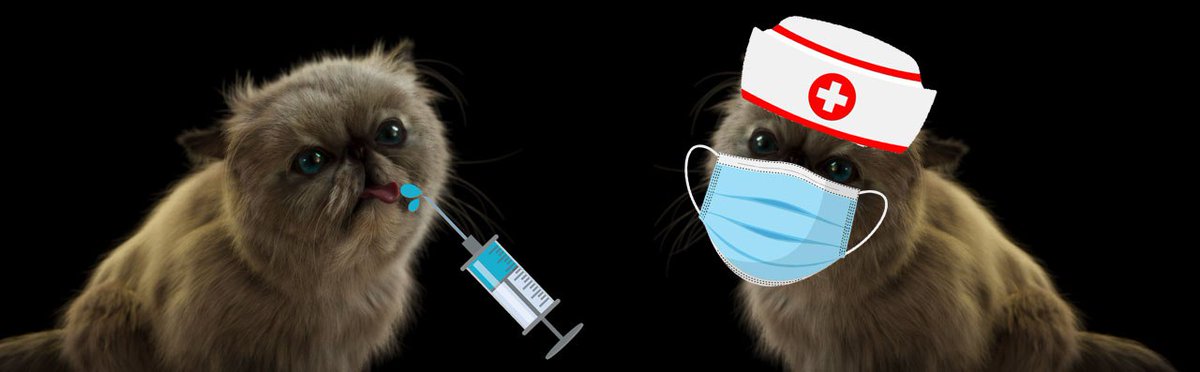 doctordiggles's tweet photo. @coinbase @MrMigglesOnBase @ensdomains Dr. Diggles heard Miggles is unwell. https://t.co/3CCs75Cl3S