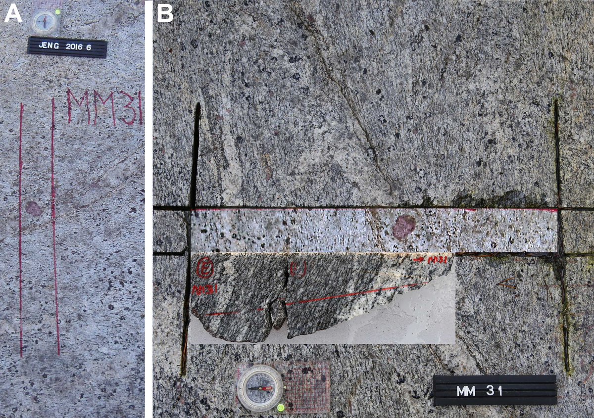 #FridayFeeling is amazing 🤩
The #FridayFieldPhoto 8/2024 brings us back to the Olkiluoto site!
This garnet comes with a story giving new insight to tectonic evolution in SW Finland and connection to Sweden.
Preprint now out:
egusphere.copernicus.org/preprints/2024…
#chapeu #GeologyPage 
<a href="/GTK_FI/">GTK</a>