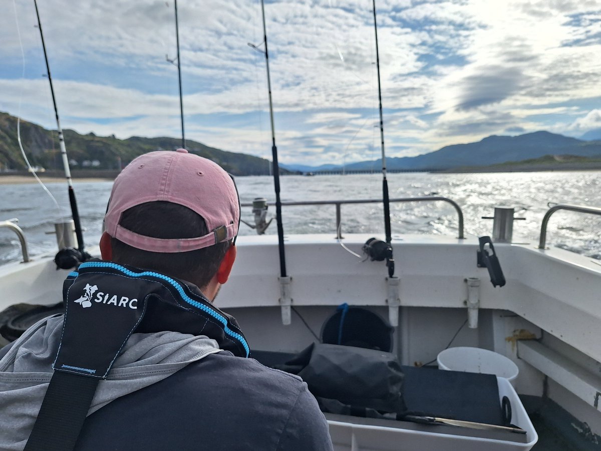 DanWMont's tweet image. Field week 1 of #TopeSIARCProject is a wrap!
With the help of local fishers we deployed all 20 acoustic receivers for our array and tagged the first 4 tope for our study. Excited to get more tags out soon! @ProjectSIARC @ACA_PLAS_SAC @RS_Aqua @Innovasea #trackingnotslacking