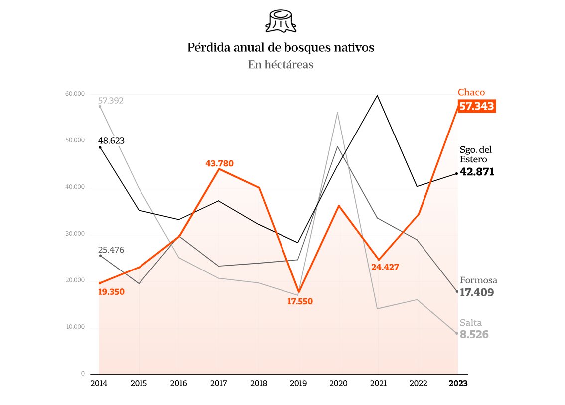 Chaco es la provincia del país que más bosque perdió en 2023. En este gráfico se ve cómo se dispararon los desmontes en el último tiempo.

Viajé al Impenetrable para entender cómo impacta el fenómeno. 

Abro un hilo con los hallazgos logrados junto al equipo de <a href="/fundlanacion/">Fundación LA NACION</a>: