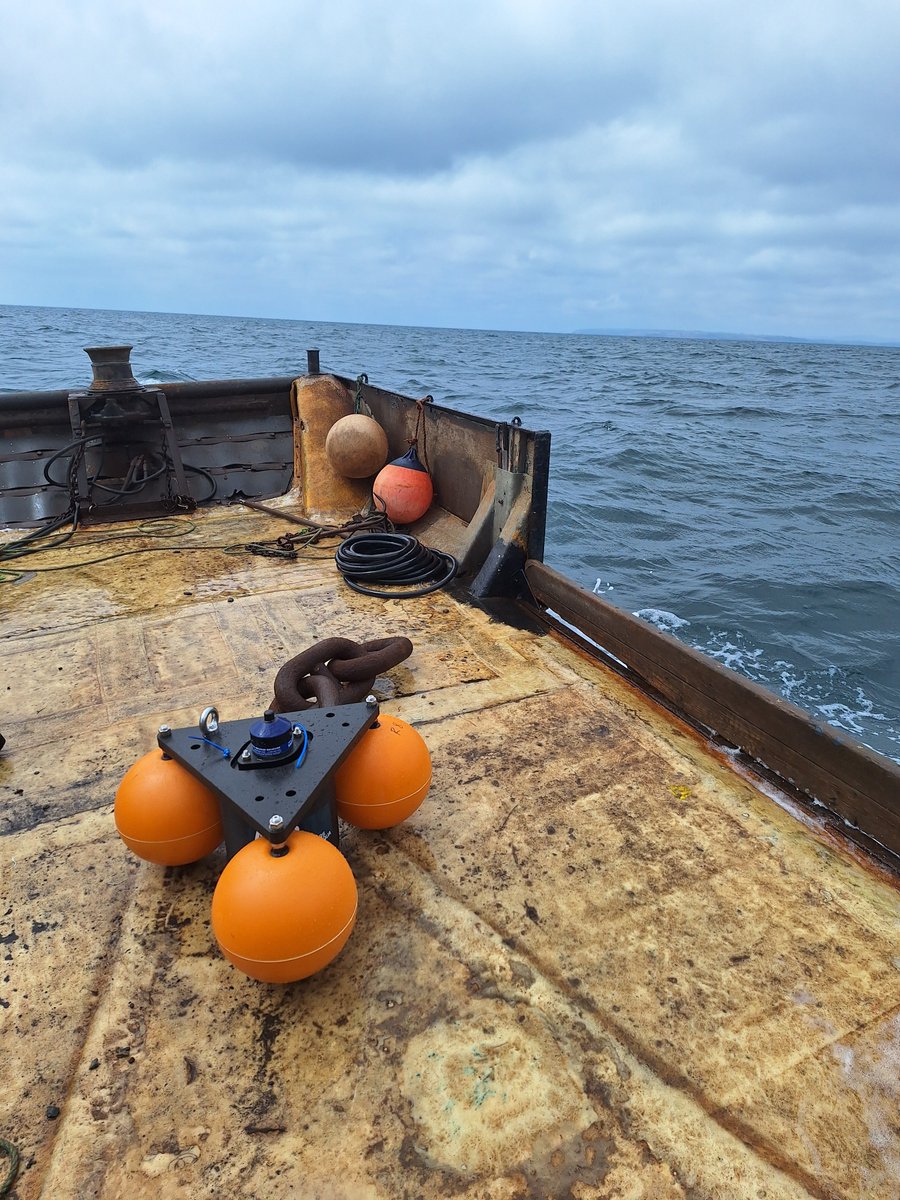 DanWMont's tweet image. Field week 1 of #TopeSIARCProject is a wrap!
With the help of local fishers we deployed all 20 acoustic receivers for our array and tagged the first 4 tope for our study. Excited to get more tags out soon! @ProjectSIARC @ACA_PLAS_SAC @RS_Aqua @Innovasea #trackingnotslacking