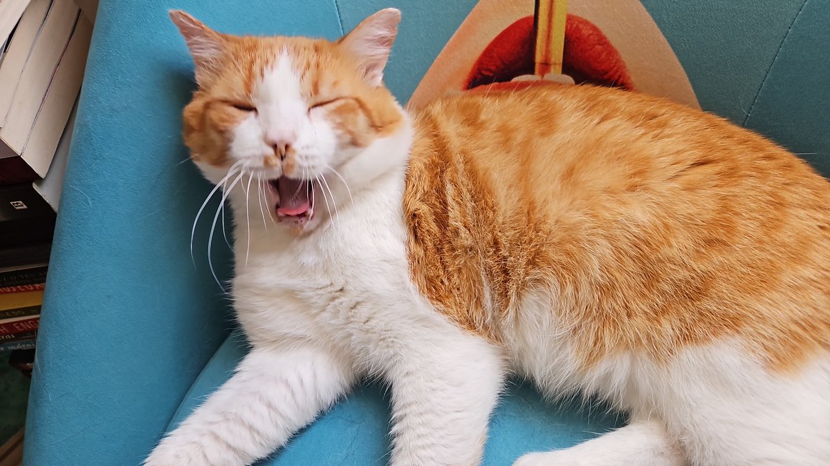 diff rent chayr, same Dipi Boye