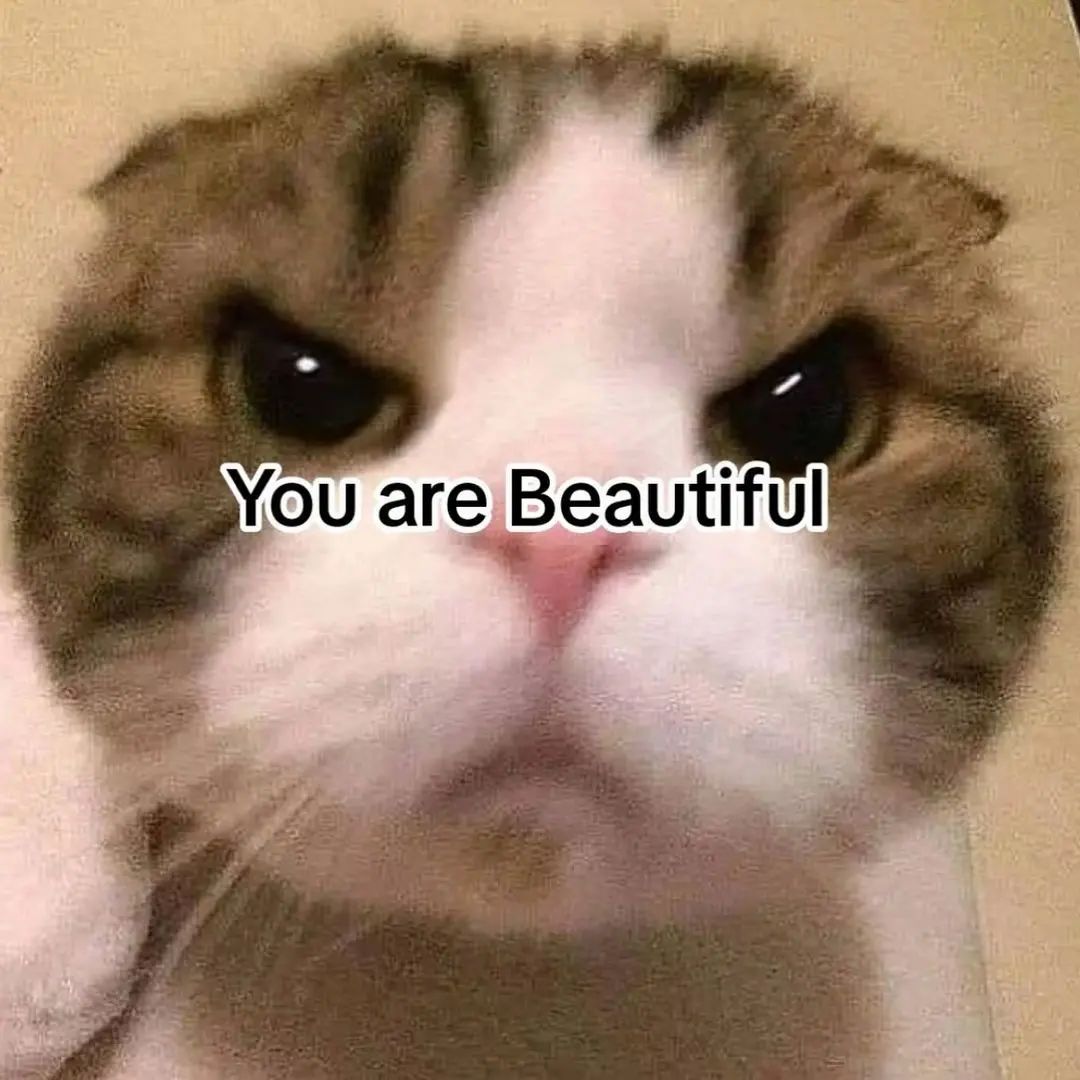 Catsillyness's tweet photo. You are https://t.co/ro54zs6xez