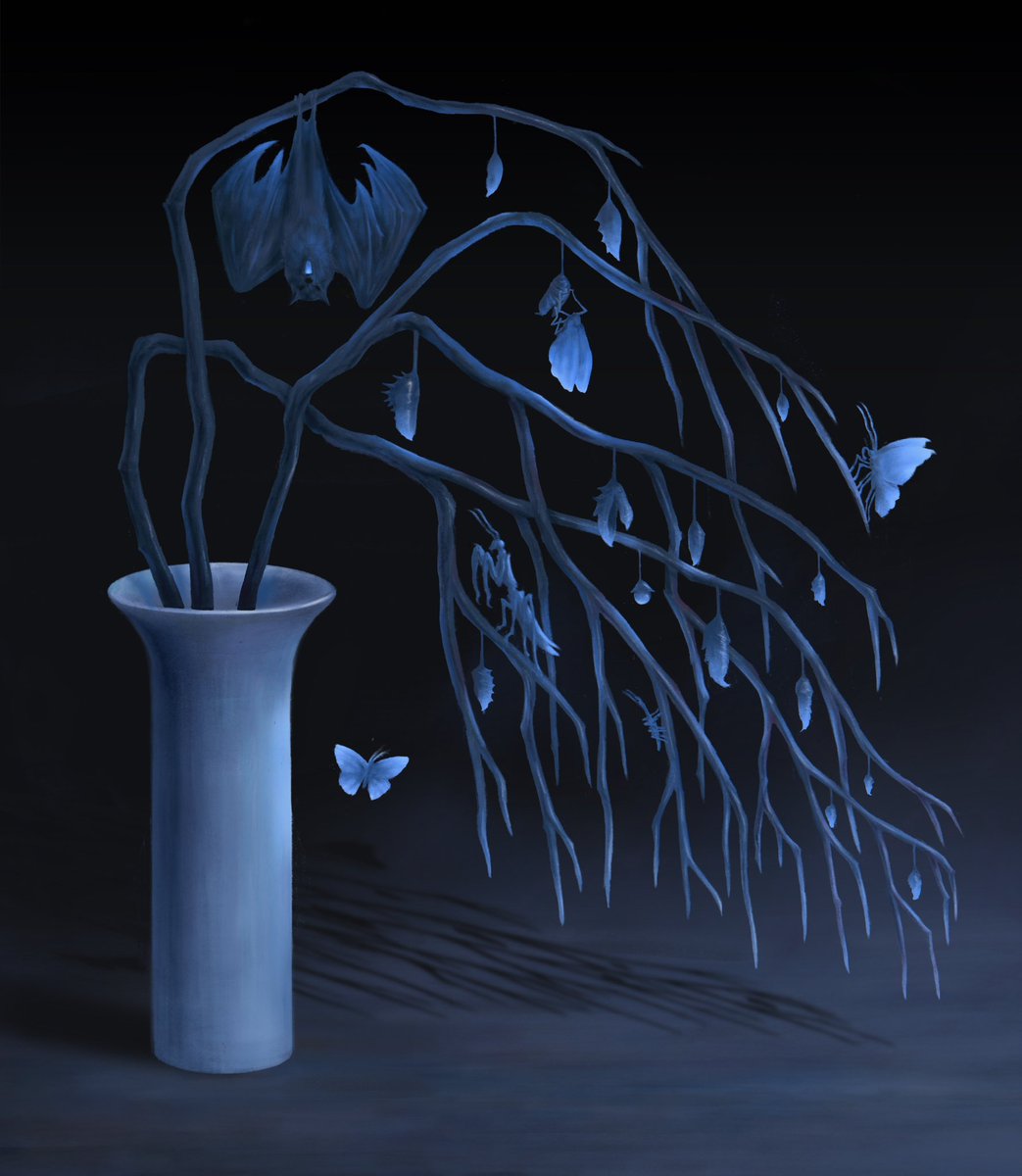 Call of Night