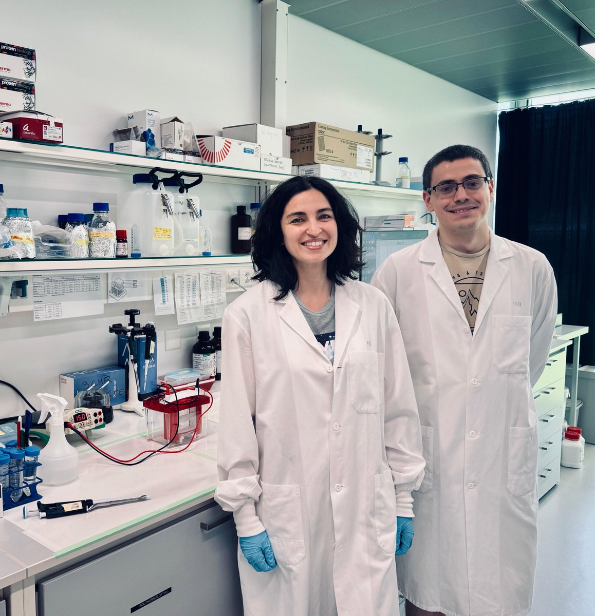 IRB_Bellinzona (@bellinzonairb) on Twitter photo irb.usi.ch/news/hltf-remo…
👏A new study from the <a href="/CejkaLab/">Cejka Lab</a> shows that the HLTF translocase dislocates Cas9 from the DNA after cleavage to initiate DNA double-stranded break repair. 👉Congratulations to <a href="/giordano_reg/">Giordano Reginato</a> and <a href="/DelloStritto_MR/">Maria Rosaria Dello Stritto</a>! <a href="/USI_en/">USI University</a> <a href="/NatureComms/">Nature Communications</a> irb.usi.ch/news/hltf-remo…
👏A new study from the <a href="/CejkaLab/">Cejka Lab</a> shows that the HLTF translocase dislocates Cas9 from the DNA after cleavage to initiate DNA double-stranded break repair. 👉Congratulations to <a href="/giordano_reg/">Giordano Reginato</a> and <a href="/DelloStritto_MR/">Maria Rosaria Dello Stritto</a>! <a href="/USI_en/">USI University</a> <a href="/NatureComms/">Nature Communications</a>
