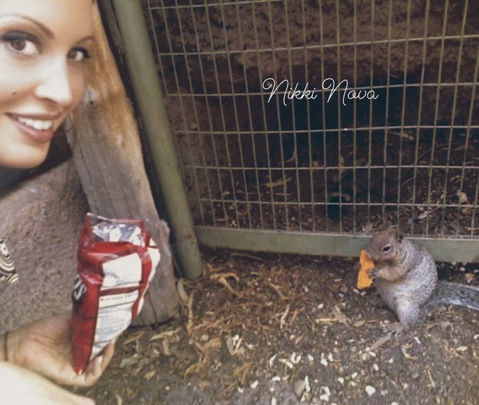 A fun little #FlashbackFriday to a time when I was accosted by a squirrel at a vending machine, at the<a href="/tag/flashbackfriday"class="tags">#FlashbackFriday</a>