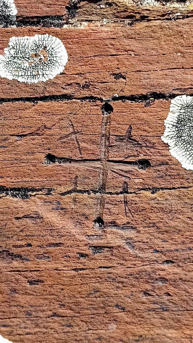 Gravat d'una creu emmarcada per quatre de petites. 
Ger de Cerdanya.