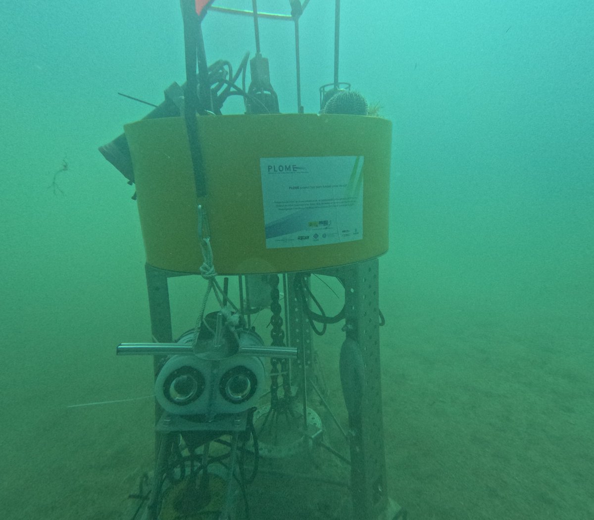 OBSEA observatory tweet media