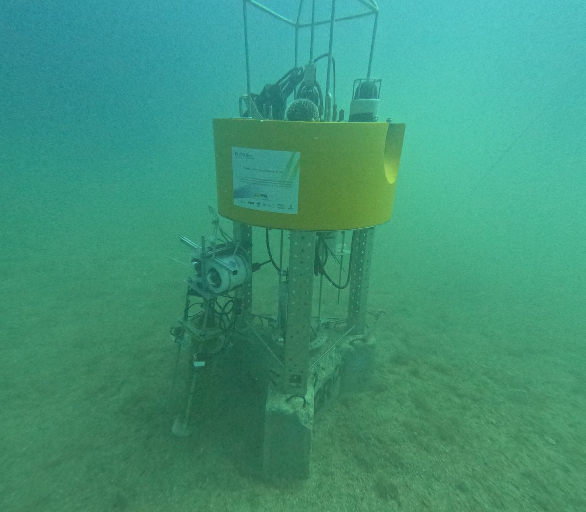 OBSEA observatory tweet media