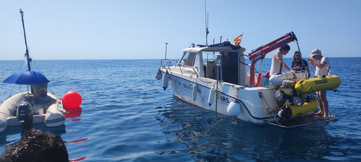 OBSEA observatory tweet media