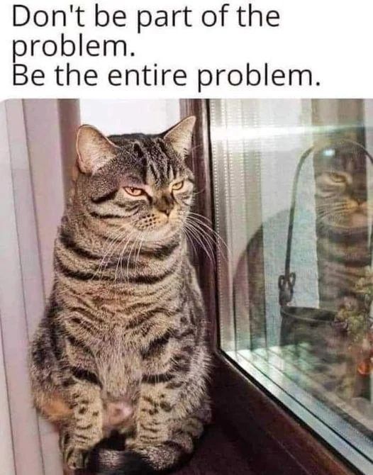 WholesomeMeme's tweet photo. https://t.co/0UbUSgjm8a