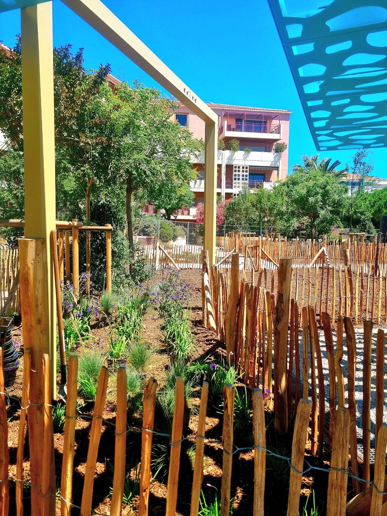 mairie6_8's tweet photo. #Le6_8Change | Profitez d'un nouveau havre de verdure 🌳🌿 dans le secteur du Prado Plage, la place de l'Honnêteté, inaugurée le 4 juillet.
🙋♂️🙋♀️ Maintenant un lieu redynamisé par l'équipe municipale des 6&8 : une place végétalisée 🌼, ombragée ☀️ et accueillante procurant fraîcheur 💧 et convivialité aux habitant(e)s.