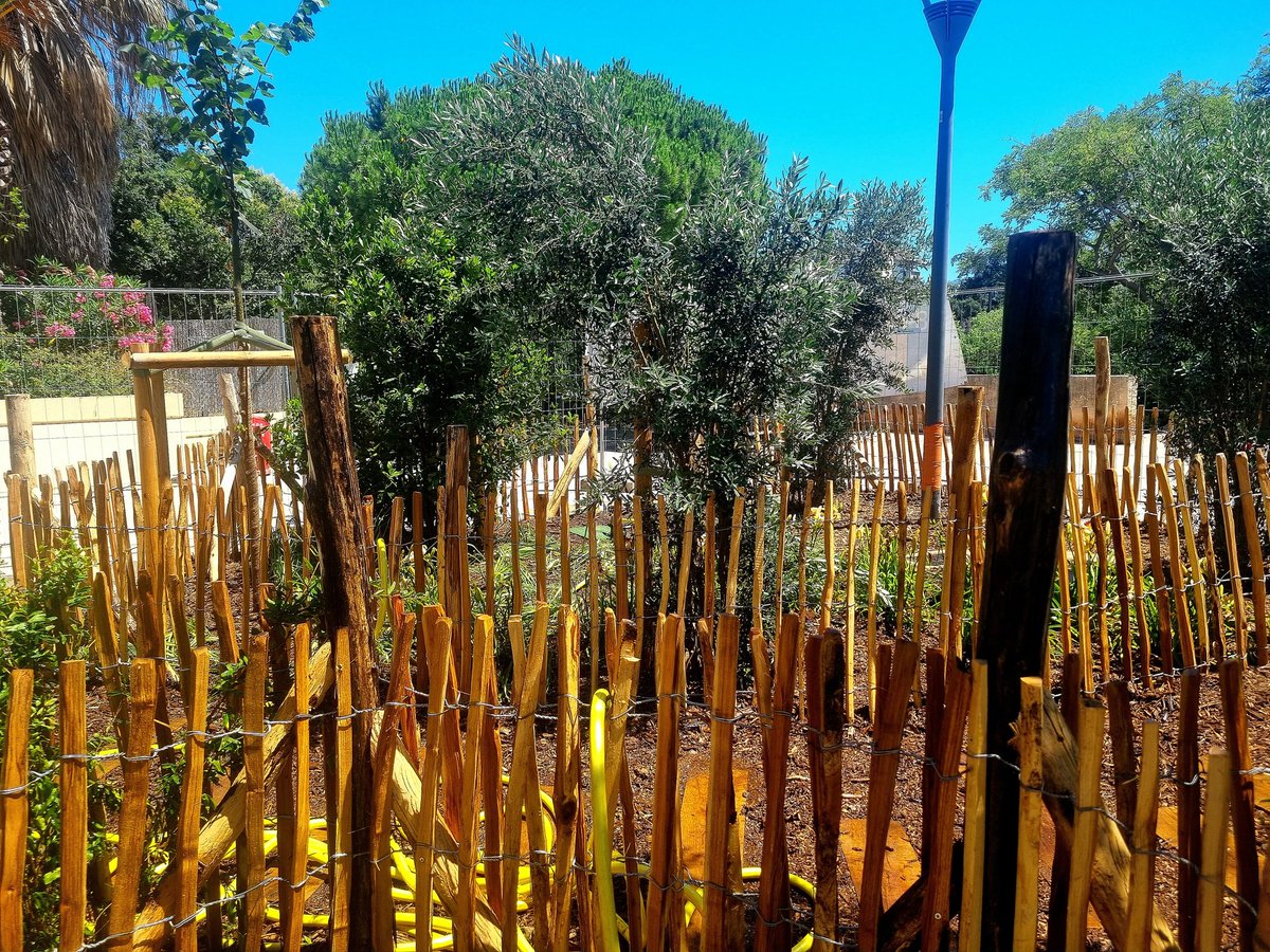 mairie6_8's tweet photo. #Le6_8Change | Profitez d'un nouveau havre de verdure 🌳🌿 dans le secteur du Prado Plage, la place de l'Honnêteté, inaugurée le 4 juillet.
🙋♂️🙋♀️ Maintenant un lieu redynamisé par l'équipe municipale des 6&8 : une place végétalisée 🌼, ombragée ☀️ et accueillante procurant fraîcheur 💧 et convivialité aux habitant(e)s.
