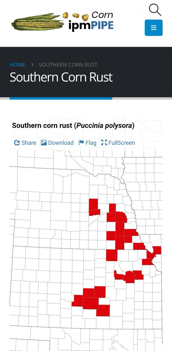 Yesterday I recorded <a href="/UNL_CropWatch/">Nebraska CropWatch</a> podcast  with <a href="/UNLExtension/">Nebraska Extension</a> Eric Hunt to share an update &amp; some more thoughts on southern rust &amp; other diseases in Nebraska right now. More to come. Scouting fields is critical in the affected areas &amp; continuing as the season progresses