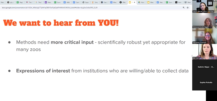 ManyZoosProject's tweet photo. 🐅🐺We had a fantastic first chat about #MZ1 ! Thank you for the helpful input, questions, and discussion. If you were not able to attend, you can find the recording here: https://t.co/gMLzDU31Zq #ZooScience #ZooResearch @thezooscientist https://t.co/zKY5o8V8DU