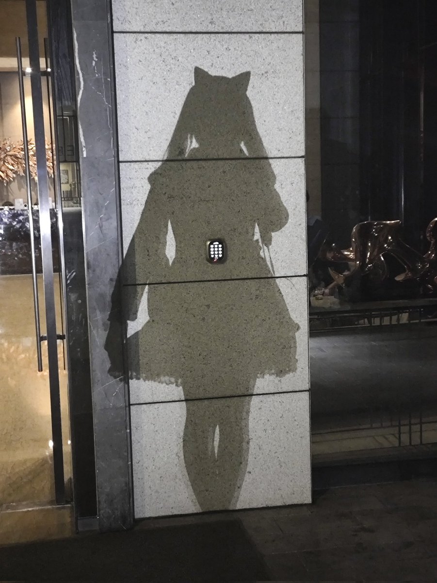 T381conductor's tweet photo. 双马尾猫娘の影（x https://t.co/DLe1eHeUlw