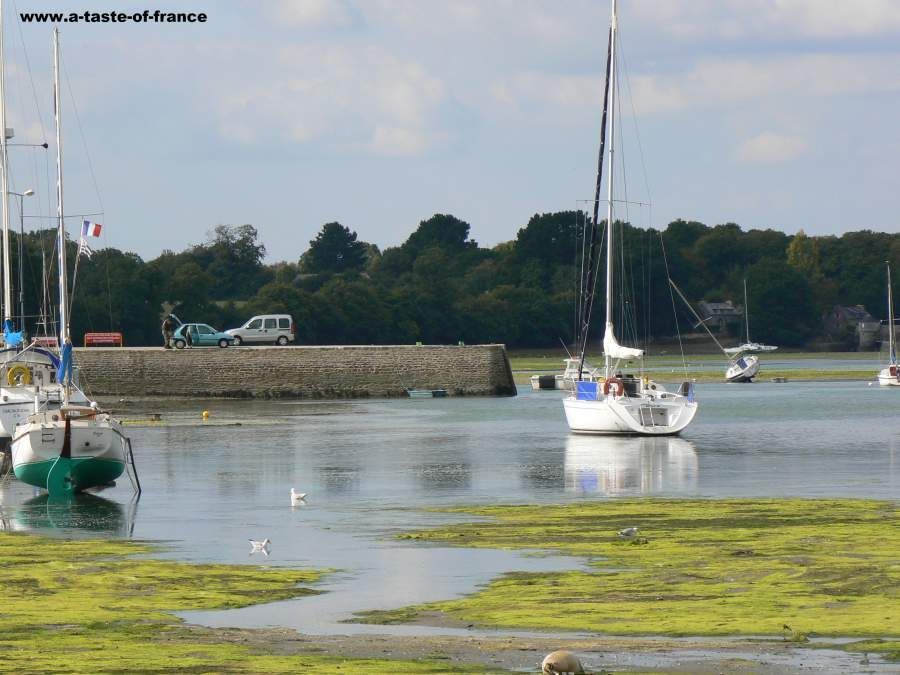 france_images's tweet photo. The harbour at Cap-Coz a village in #Brittany https://t.co/PPn3teY5NN
#France 🇨🇵 #travel #photo #CapCoz https://t.co/UpgRVWB8FM