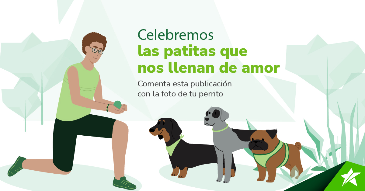 🐾🚨Alto, Control de Seguridad 🚨

Comenta esta publicación con la foto de tu perrito y celebremos juntos a esos compañeros fieles que nos llenan de amor cada día. 🐶💚
Celebremos las patitas que nos llenan de amor. #GrupoPromerica #DíaDelPerro