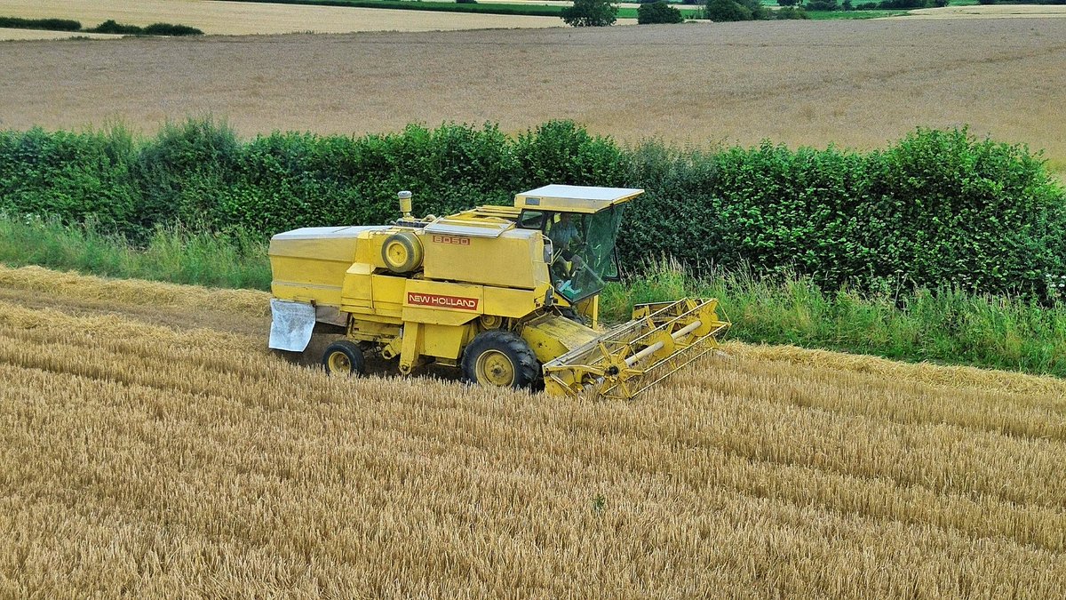 Shaun_Button_'s tweet photo. 📸😍 LOOK WHAT I FOUND YESTERDAY 😍📸
#newholland #newhollandcr #newhollandcr880 #winterbarley #barley #britainsfarmtoys #ernte #erntezeit #harvest2024 #harvest24 #harvest #combineharvesters #combineharvester #combine #mähdrescher #farm247 #farmingphotographydaily #farmingphotos https://t.co/XxsdSynhza