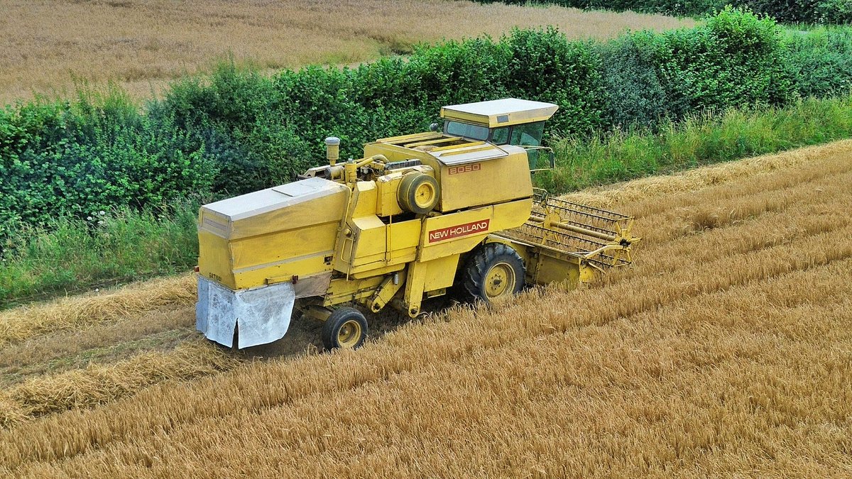 Shaun_Button_'s tweet photo. 📸😍 LOOK WHAT I FOUND YESTERDAY 😍📸
#newholland #newhollandcr #newhollandcr880 #winterbarley #barley #britainsfarmtoys #ernte #erntezeit #harvest2024 #harvest24 #harvest #combineharvesters #combineharvester #combine #mähdrescher #farm247 #farmingphotographydaily #farmingphotos https://t.co/XxsdSynhza