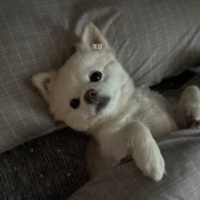 onlyartpop's tweet photo. #NewProfilePic https://t.co/sERhWkKqFP