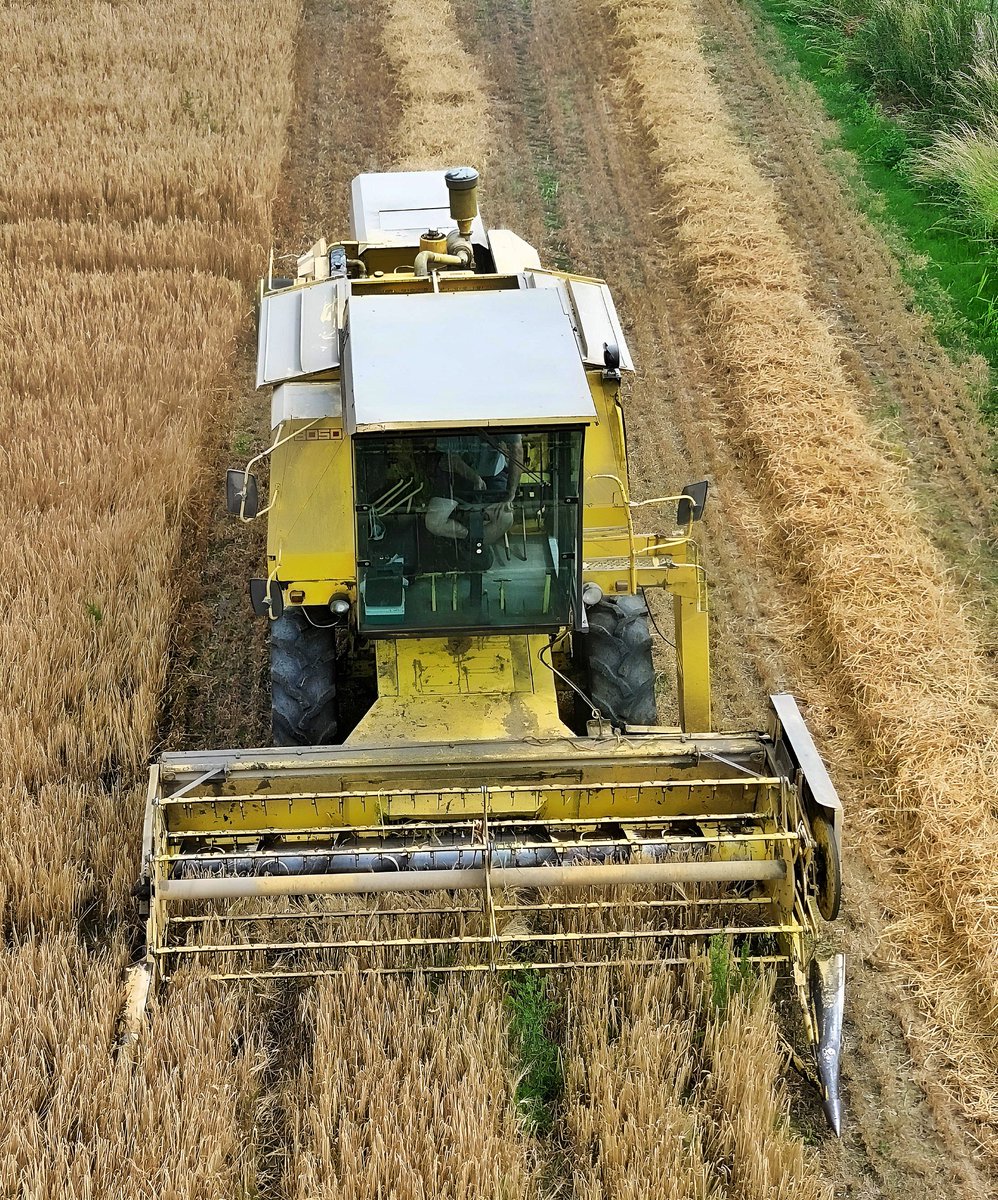 Shaun_Button_'s tweet photo. 📸😍 LOOK WHAT I FOUND YESTERDAY 😍📸
#newholland #newhollandcr #newhollandcr880 #winterbarley #barley #britainsfarmtoys #ernte #erntezeit #harvest2024 #harvest24 #harvest #combineharvesters #combineharvester #combine #mähdrescher #farm247 #farmingphotographydaily #farmingphotos https://t.co/jVv6WAfex6