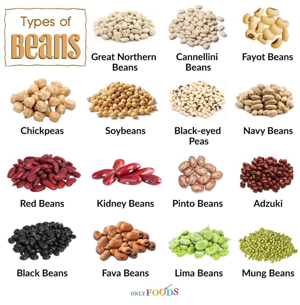 MUGABE__Robert's tweet photo. #BeansProduction tip number one being Variety selection.
Beans are of two categorizes; #Climbing and #Bush beans. 
Green beans, anasazi beans, black, northern beans, kidney, pinto beans, and cannellini beans are all varieties of the species. 
Impact; Improved variety= High yield https://t.co/zd3DeQ51x8