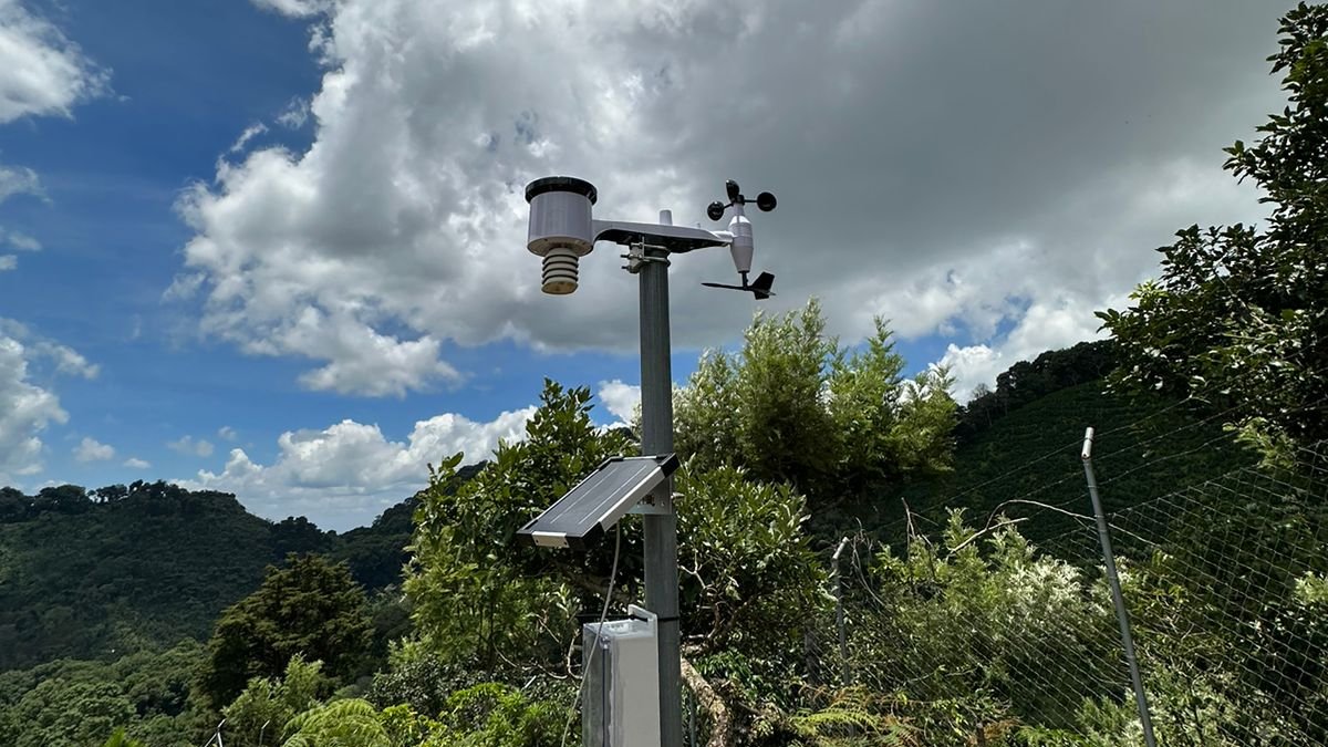 #GISAnacafé | Conozca los servicios de la Unidad de Sistemas de Información Geográfica de Anacafé -GIS- ingresando en el siguiente enlace:

✅ Enlace: anacafe.org/GIS

ℹ️ Más información: 2421-3700 extensión 2011 | GIS@anacafe.org

#Meteorologia #ClimaGT #Anacafé