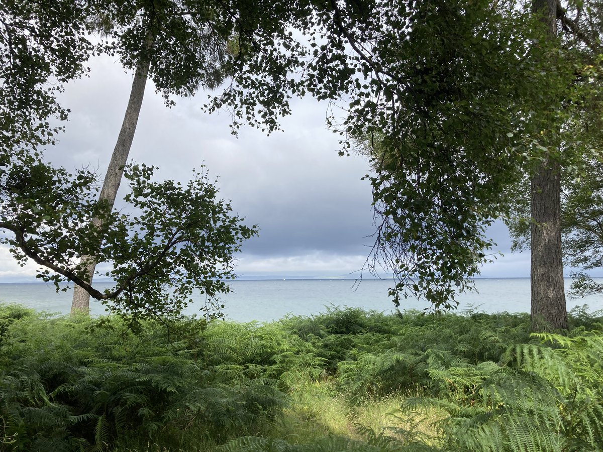 Found a lost phone on Arran today. It was just off the path near the measured mile at Sannox. 
Handed in to Lamlash police this afternoon. 
Really hope you can be reunited. Pls retweet.