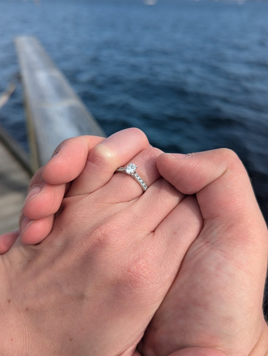 Investacus 🧠 💰 tweet media