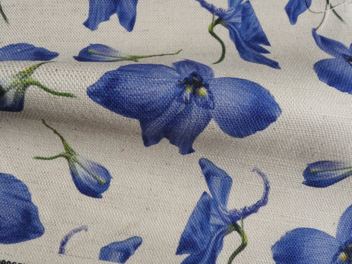 Rebecca Christian tweet media