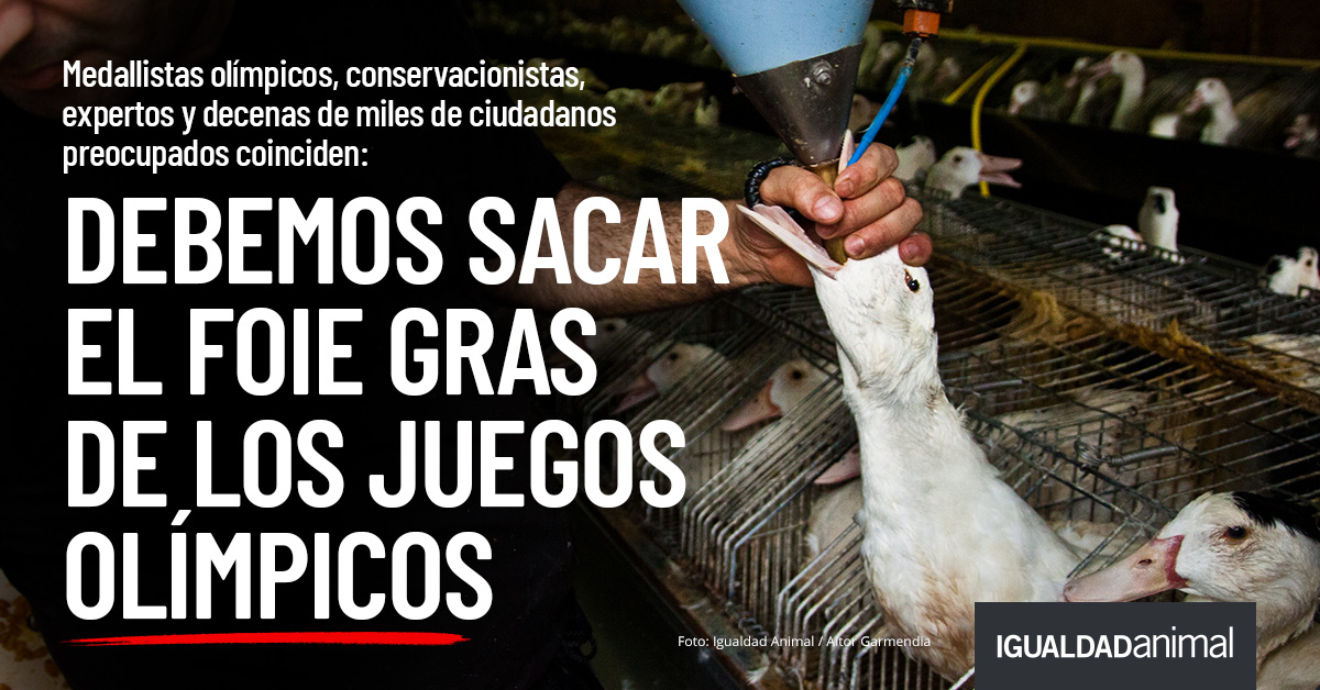 Por favor, <a href="/iocmedia/">IOC MEDIA</a> @olympics @paris2024, ¡saquen el foie gras elaborado mediante alimentación forzada FUERA de los Juegos Olímpicos y cambien a una alternativa a base de plantas! 

#foiegrasOUT #2024Olympics #Paris2024