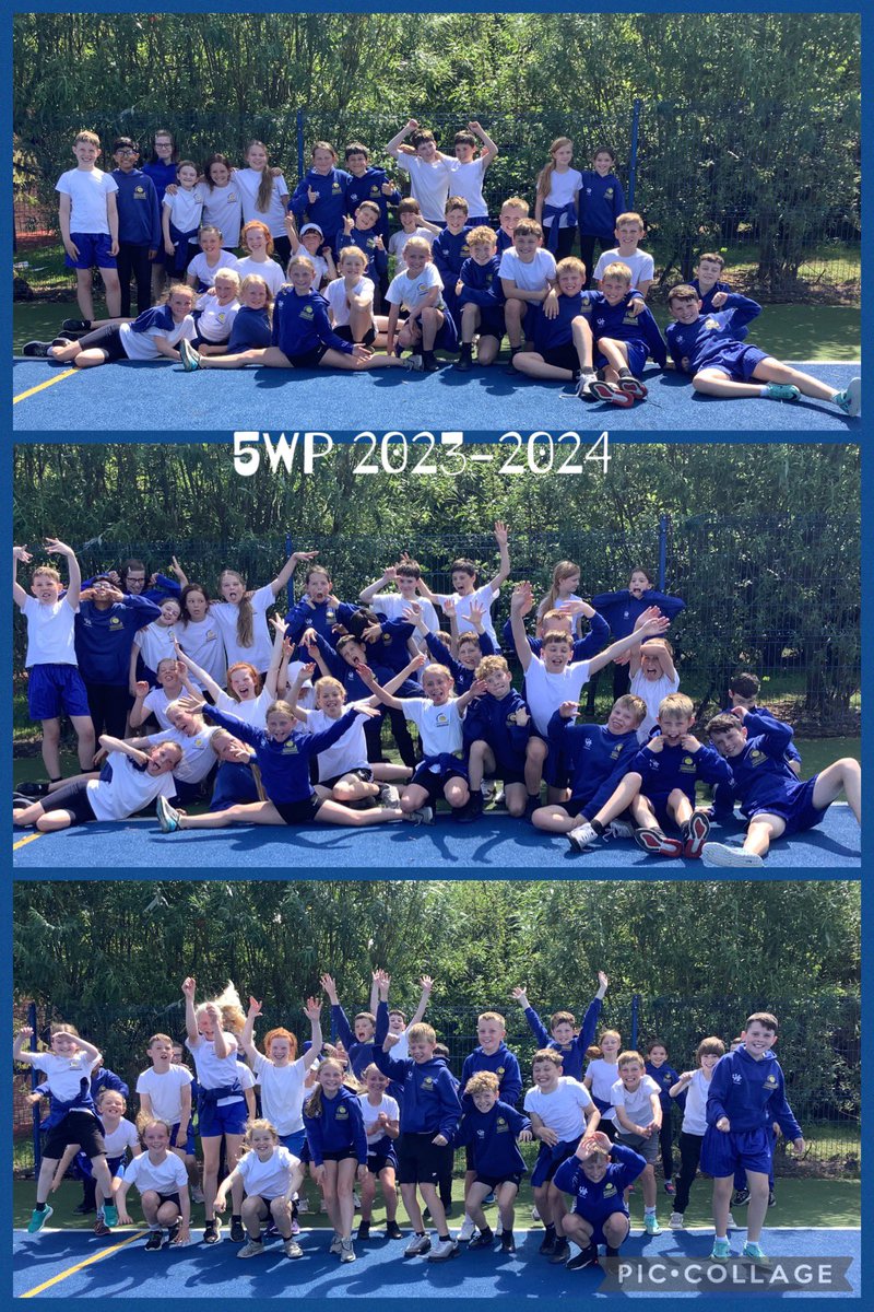 CPS_Year5 tweet media