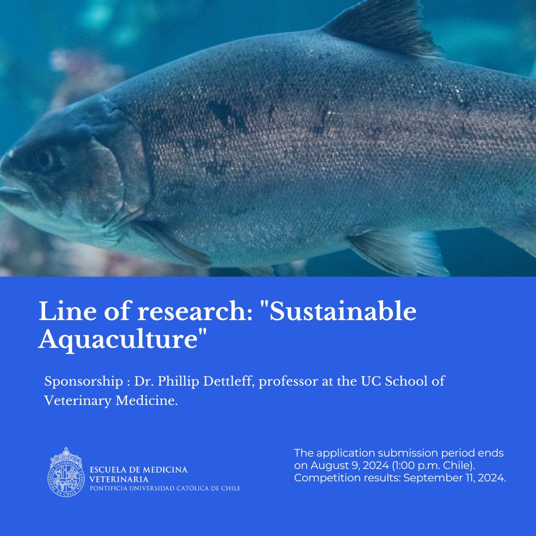 MedVetUC1's tweet photo. 📣 Applications open until August 9th! 🐟🧬 Call for Postdoctoral Position, UC School of Veterinary Medicine. More information: https://t.co/PFrHSwtjXY https://t.co/QsOx08eJfh @ucatolica https://t.co/GT0EZ6HWiY
